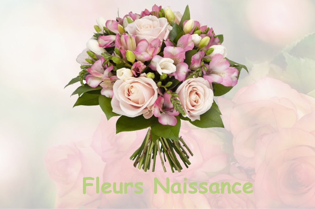 fleurs naissance CARIGNAN-DE-BORDEAUX