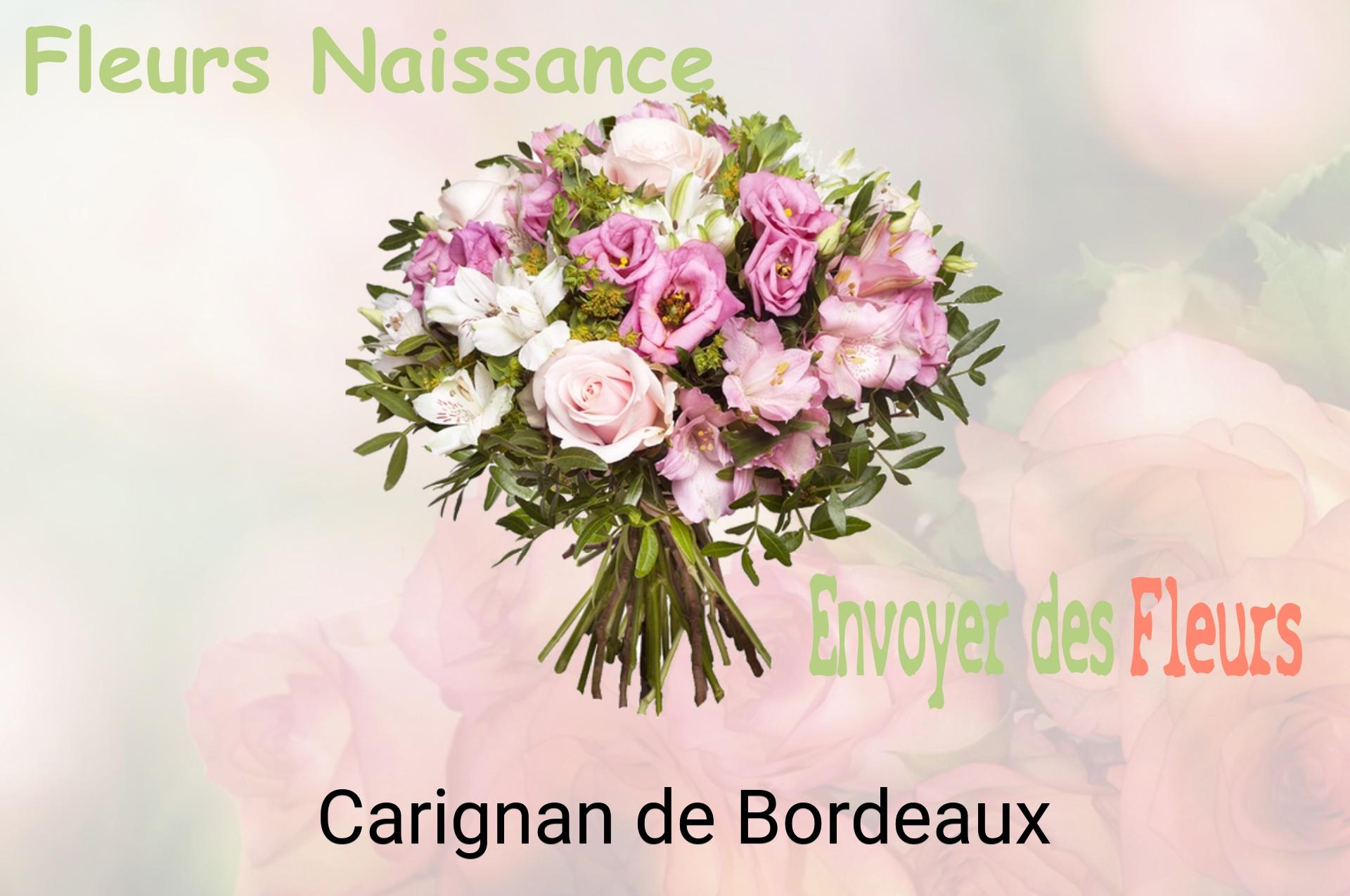Bouquet de fleurs de naissance livré à Carignan-de-Bordeaux
